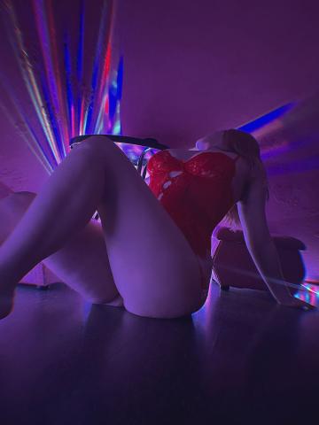 Фирдания Грациозная фото 3